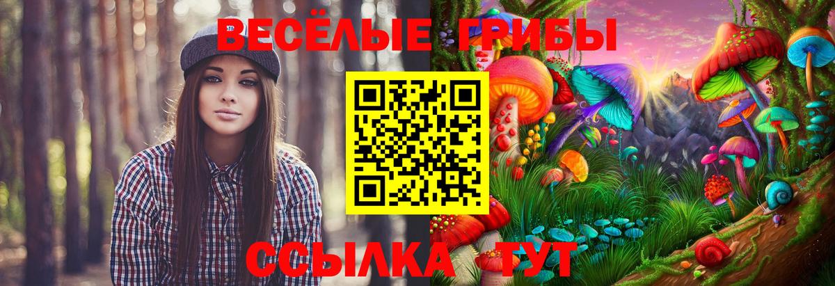 Елец  Галлюциногенные грибы Psilocybine cubensis  Псилоцибиновые грибы мицелий  Вход с VPN 